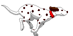 cane dalmata.gif